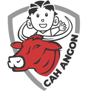Logo INKUBATOR BISNIS CAH ANGON